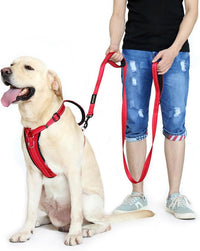 Plutus Pet Double Handle Dog Leash, for Medium Large Dogs - 6 FT / Red - image 3