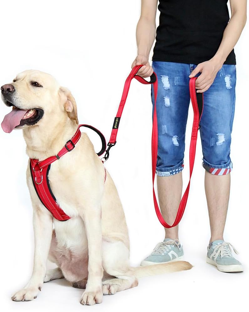 Plutus Pet Double Handle Dog Leash, for Medium Large Dogs - 6 FT / Red - image 3
