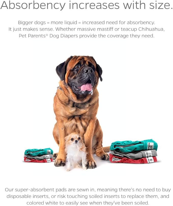 Pet Parents® Washable Dog Diapers (3pack) + Extendrs® of Durable Doggie Diapers, Premium Dog Diapers Female (Large, Southern Belle)