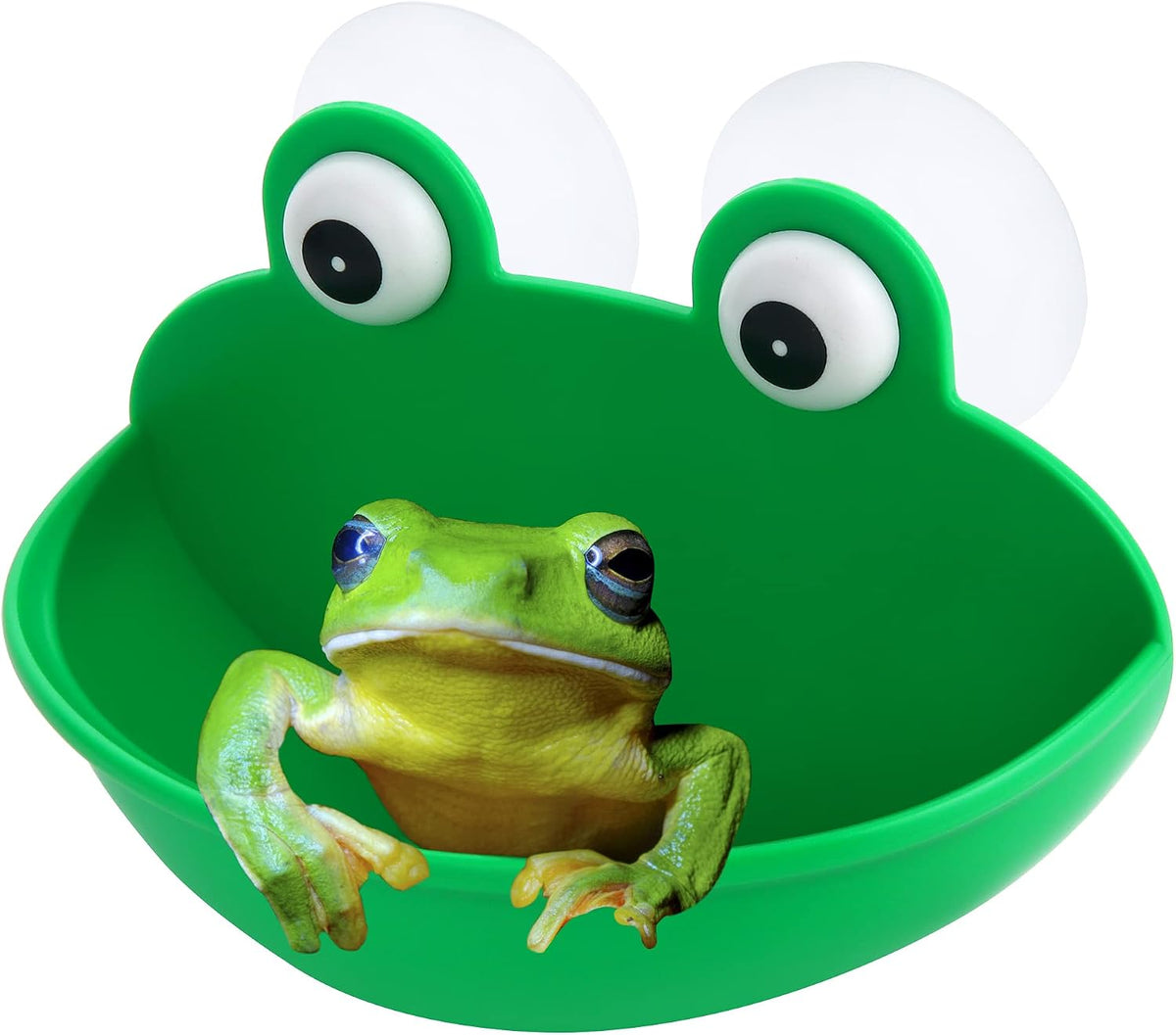 Pensino Frog Habitat Frog Dish Holder with Suction Cups - 1 Pack