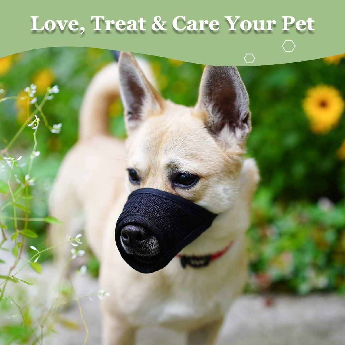 Dog Muzzle, Puppy Soft Mesh Muzzles for Grooming Biting Chewing – Essentials for Dogs - Black / XS-(Snout 5¼”-6”) - image 2