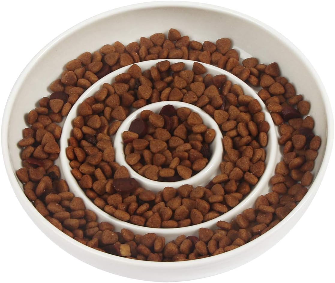 SLSON Cat Slow Feeder Bowl