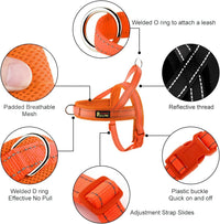 Plutus Pet No Pull Dog Harness with Front Clip - M: chest 19.7"-25.2" / Orange - image 2