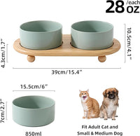 Ceramic Elevated Dog Bowls, Food and Water Bowls for Dogs, Puppy, Raised Dog Dish, Pet Feeder(6inch, 2 x Light Green + Stand)