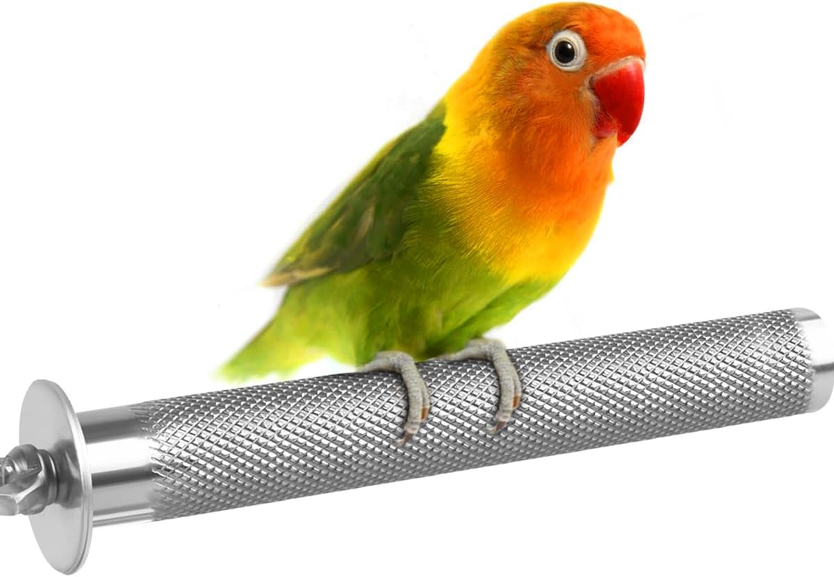 KATUMO Parrot Perch - Stainless Steel African Grey Perch Bird Cage Accessories for Small to Large - S: 6 x 0.7 inch