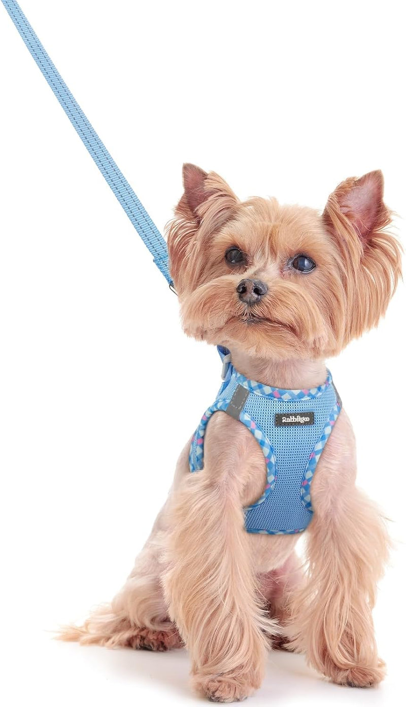 rabbitgoo Dog Harness Small Sized and Leash Set - Blue & Plaid Trim / Xxs (chest: 12.4 - 14.2")