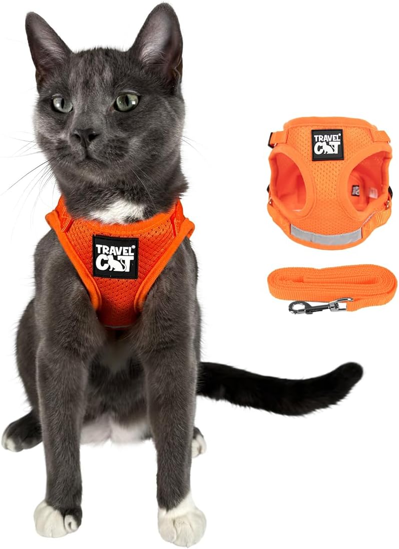 Travel Cat Harness and Leash Set - Small / Orange