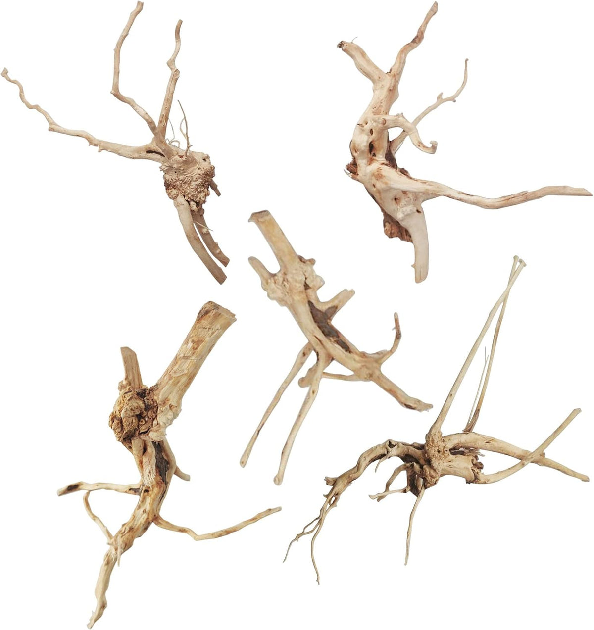 Aquarium Driftwood Reptile Branches Wood Natural Spiderwood Driftwood - 5 Pcs