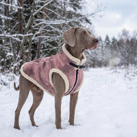 Retro Aviator Dog Jacket – Faux Leather Winter Coat with Plush Sherpa Fleece Lining for Bulldog - Pink / XXX-Large - image 2