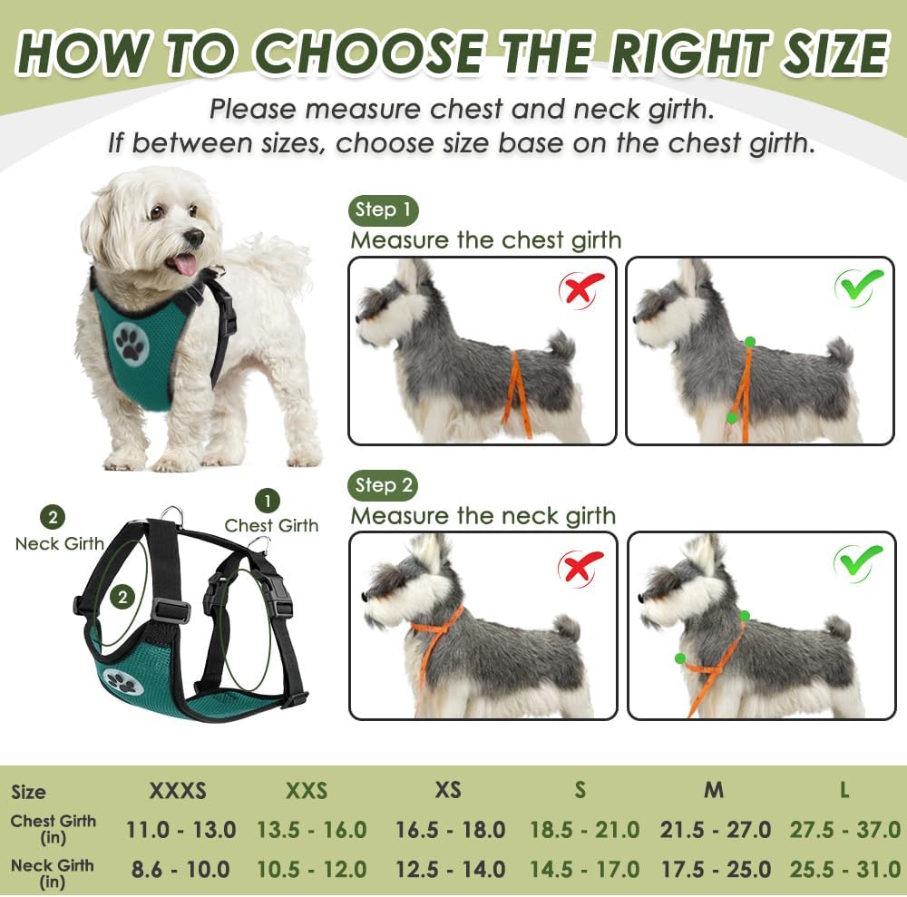 SlowTon Dog Seat Belt and Harness for Car, B M - Green / Medium - image 2