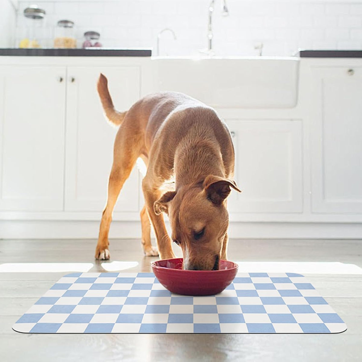 CooRug Checkered Dog Food Mat, Pet Feeding Mat 20" L x 12" W - Blue / 20"L x 12"W - image 2
