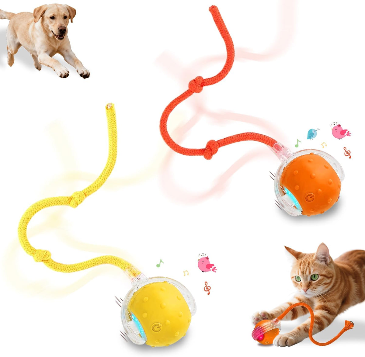 Interactive Cat Toys Smart Ball for Cats & Dogs! Now with 2 Rapid - Yellow＆Orange