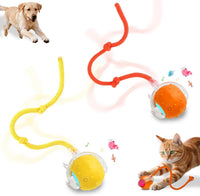 Interactive Cat Toys Smart Ball for Cats & Dogs! Now with 2 Rapid - Yellow＆Orange