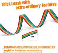 Long Line Dog Training Leash with Padded Handle - 20ft / Rainbow - image 2