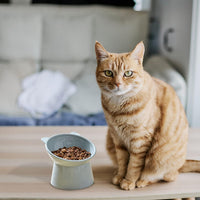 Tilted Cat Food Bowl, Whisker Friendly, Anti Vomiting, Slanted - Tall Cat Bowl-Blue - image 4