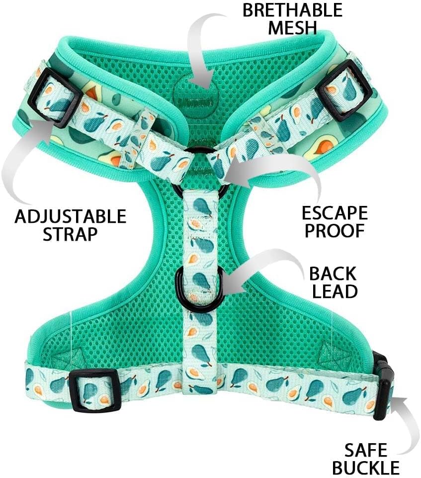 Dog Cat Harness and Leash Set - Avocado / M (Neck 13.4"-16.5"; Chest 17.7"-23") - image 4