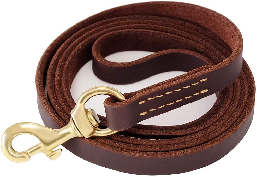 Braided Leather Dog Training Leash 6 Foot - M - 6 ft x 5/8 inch / Reddish Brown