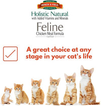 Bench & Field Holistic Natural Premium Adult Dry Cat Food, Chicken Meal and Brown Rice Recipe 25 lb Bag (Pack of 1)