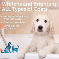 Nootie - Pet Shampoo for Sensitive Skin - Revitalizes Dry Skin & Coat - Natural Ingredients - Gentle Dog Shampoo - Cleans & Conditions