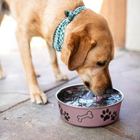 Loving Pets Bella Dog Bowls, Stainless Steel Dog & Cat Bowls - Grape / X-Large (65-100lbs) - image 3