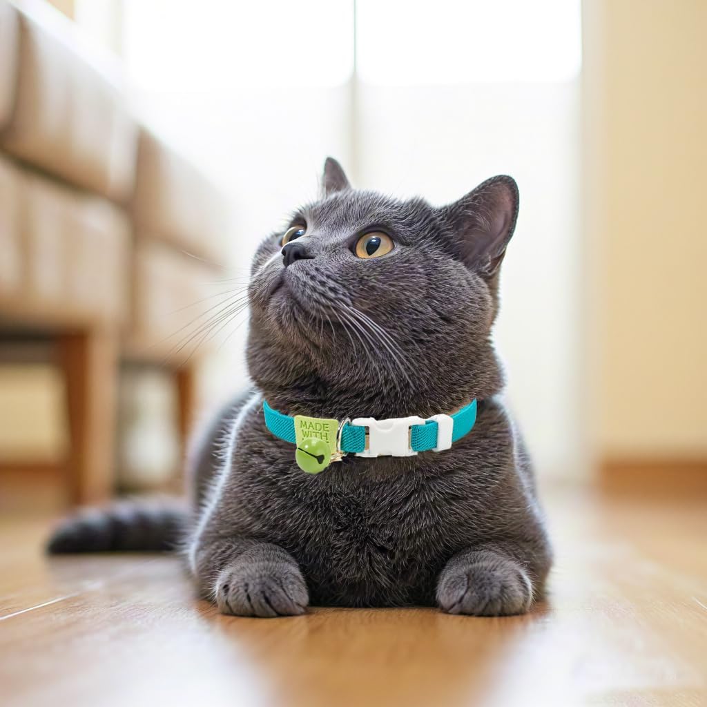 Cotton Bowtie Cat Collar with Bell 2 Pack Adjustable Breakaway Kitten - Elastic Blue+Green / 7.5-11.4 Inch (Pack of 2) - image 4