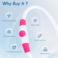 Light Up Dog Collar – Essentials for Dogs - Pink (70cm) - image 2