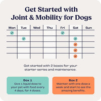 Summit Canine Joint and Mobility Supplement for Large Dogs, All Natural Liquid Chondroitin with Liposomal Delivery for Arthritis, Hip & Joint Support Vitamin, (Dogs 75+lbs)