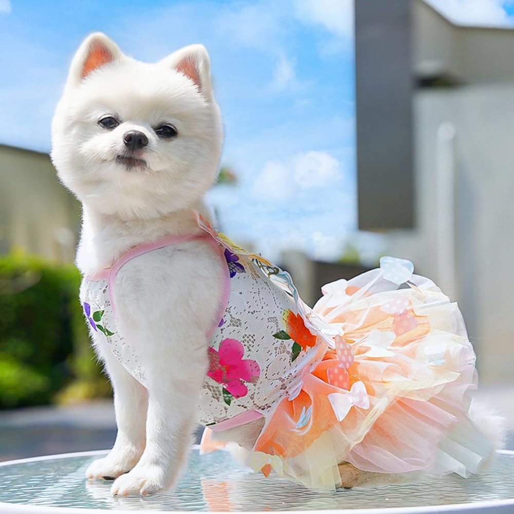 Dog Rainbow Butterfly Princess Dress Summer Thin - M - image 2