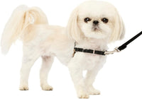 PetSafe Easy Walk Harness, No Pull Dog Harness, Royal Blue - Black/Silver / Petite / 1 - image 2