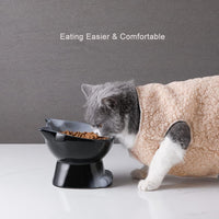 Nihow Ceramic Basic Cat Bowls: 5 Inch Cat Bowl for Food & Water – Essentials for Cats - 6.8 OZ+15.5 OZ / Gray - image 4
