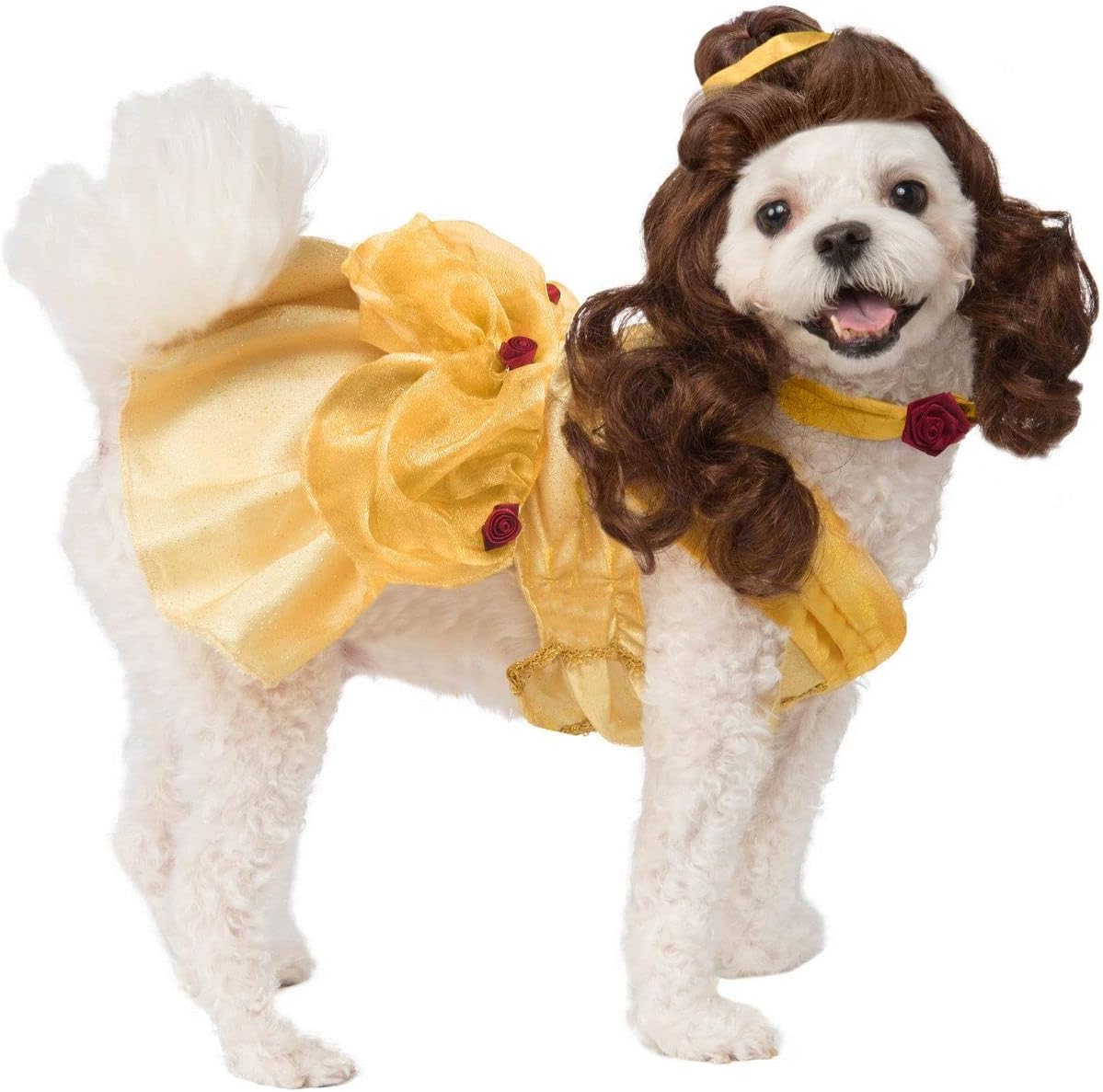 Rubies at Party City Disney Princesses: Snow White Pet Costume - Medium (Pack of 1) / Belle