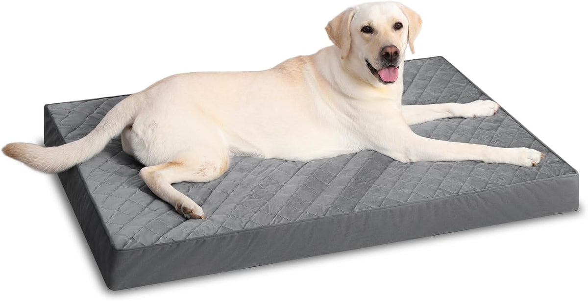 Orthopedic XL Dog Beds Large Sized with Washable Cover, 41x27 - 47.0"L x 29.0"W x 4.0"Th / Dark Gray