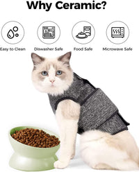 Elevated Cat Food Bowl, 5 Oz Ceramic Raised and Tilted Water Bowl, Anti Vomiting and Protect Pets' - Green / 5 OZ - 1 Pack - image 4