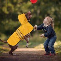 Waterproof Dog Raincoat, Adjustable Pet Rain Coats - Yellow / Medium - image 4