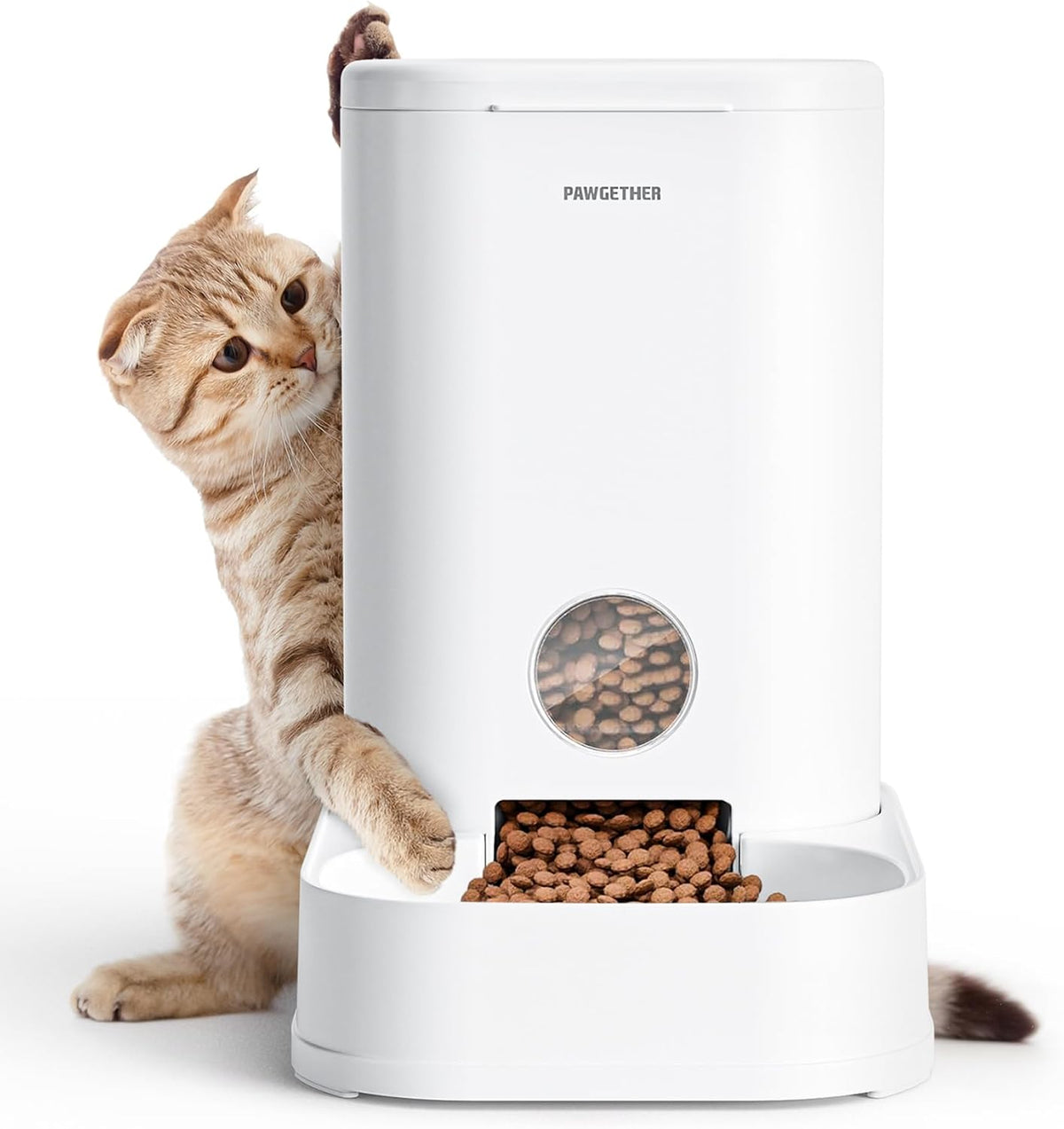 PAWGETHER Gravity Cat Feeder - Feeder / 3.78L