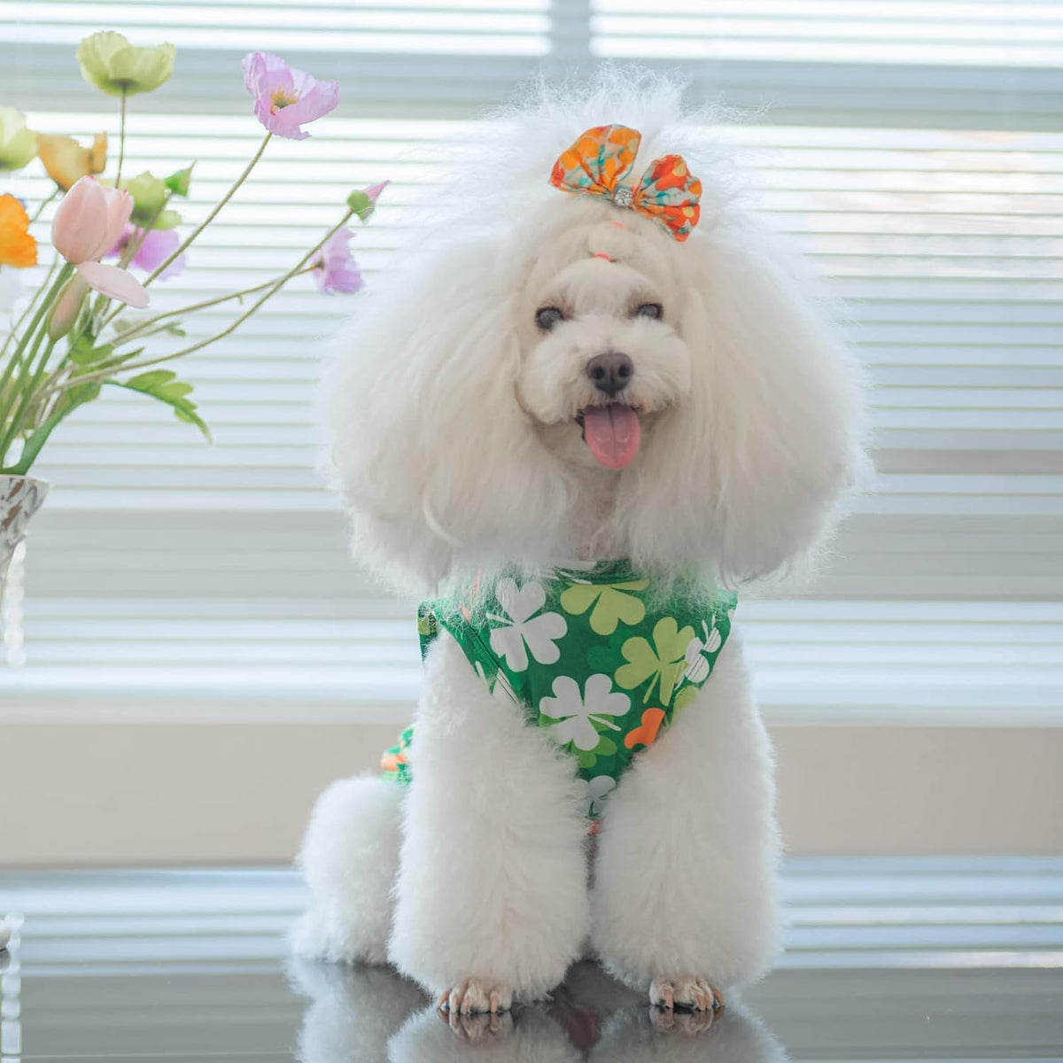CuteBone Dog Shirts 2-Pack Soft Pet Clothes Breathable Summer Vest - Large / Clovers&rabbits - image 4