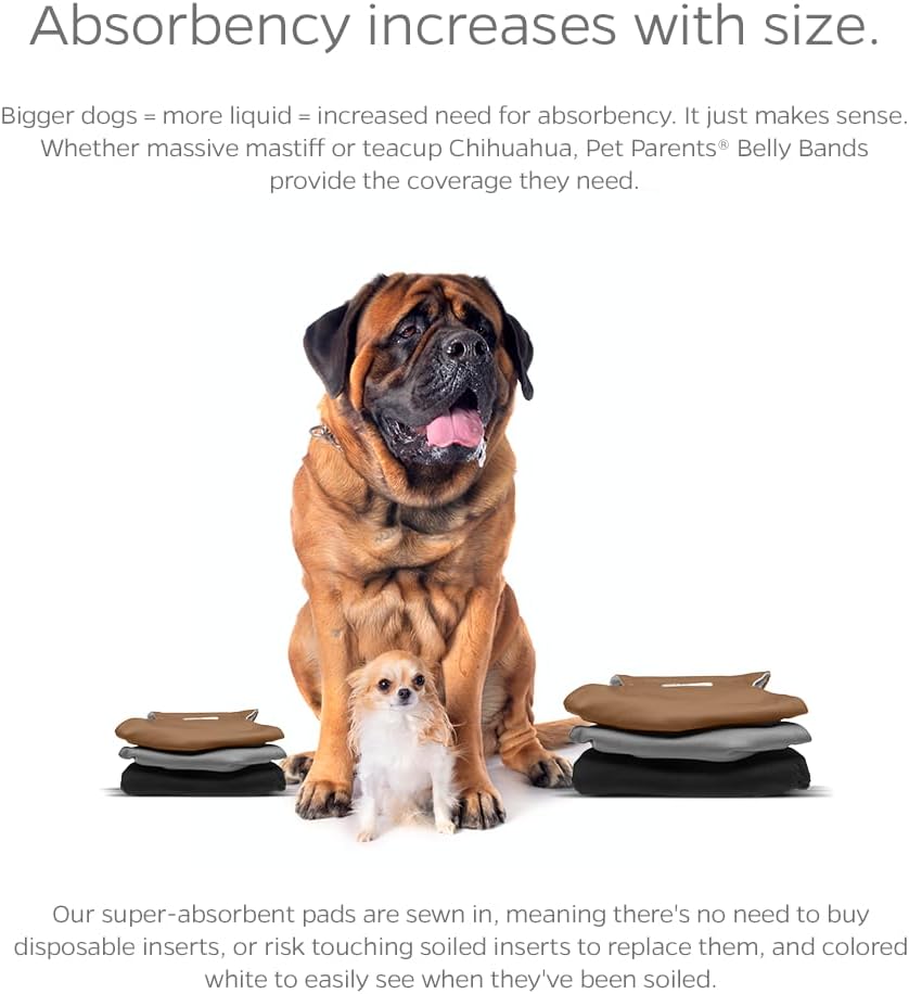 Pet Parents Washable Belly Bands for Male Dogs + Extendrs of Durable - Small (13-16") / Natural - image 2