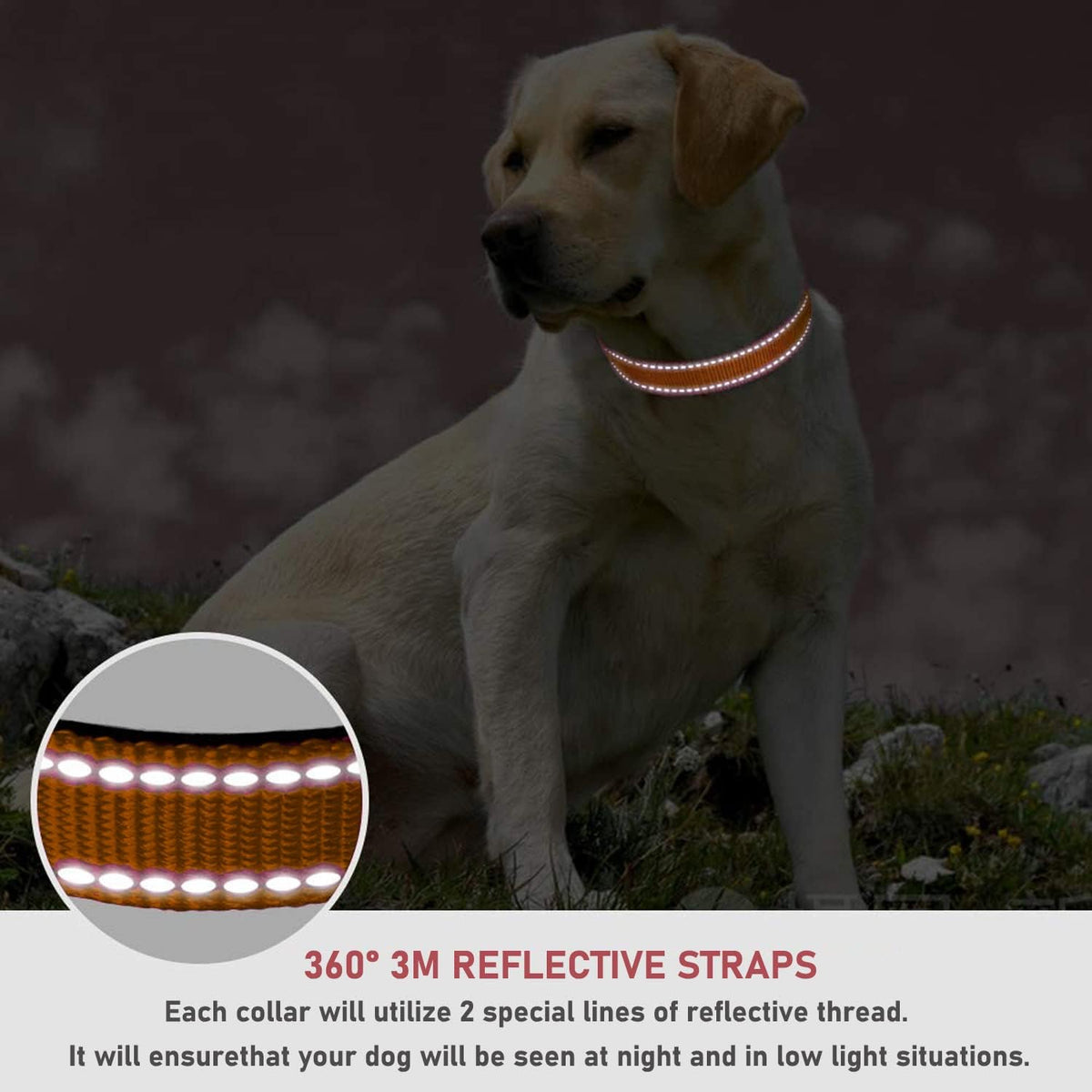 Reflective Dog Collar, Puppy Collar with Buckle Adjustable - Orange / XLarge :Width 1",Neck 16-26" - image 4