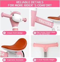 Tricycle for Kids 1-3 Year Olds - Pink - image 4