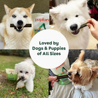Pupford Dental Chews for Dogs, All-Natural 4-Inch Sticks for Plaque, Tartar & Bad Breath, Grooved Texture, Limited Ingredients, Made in USA (14 Count)