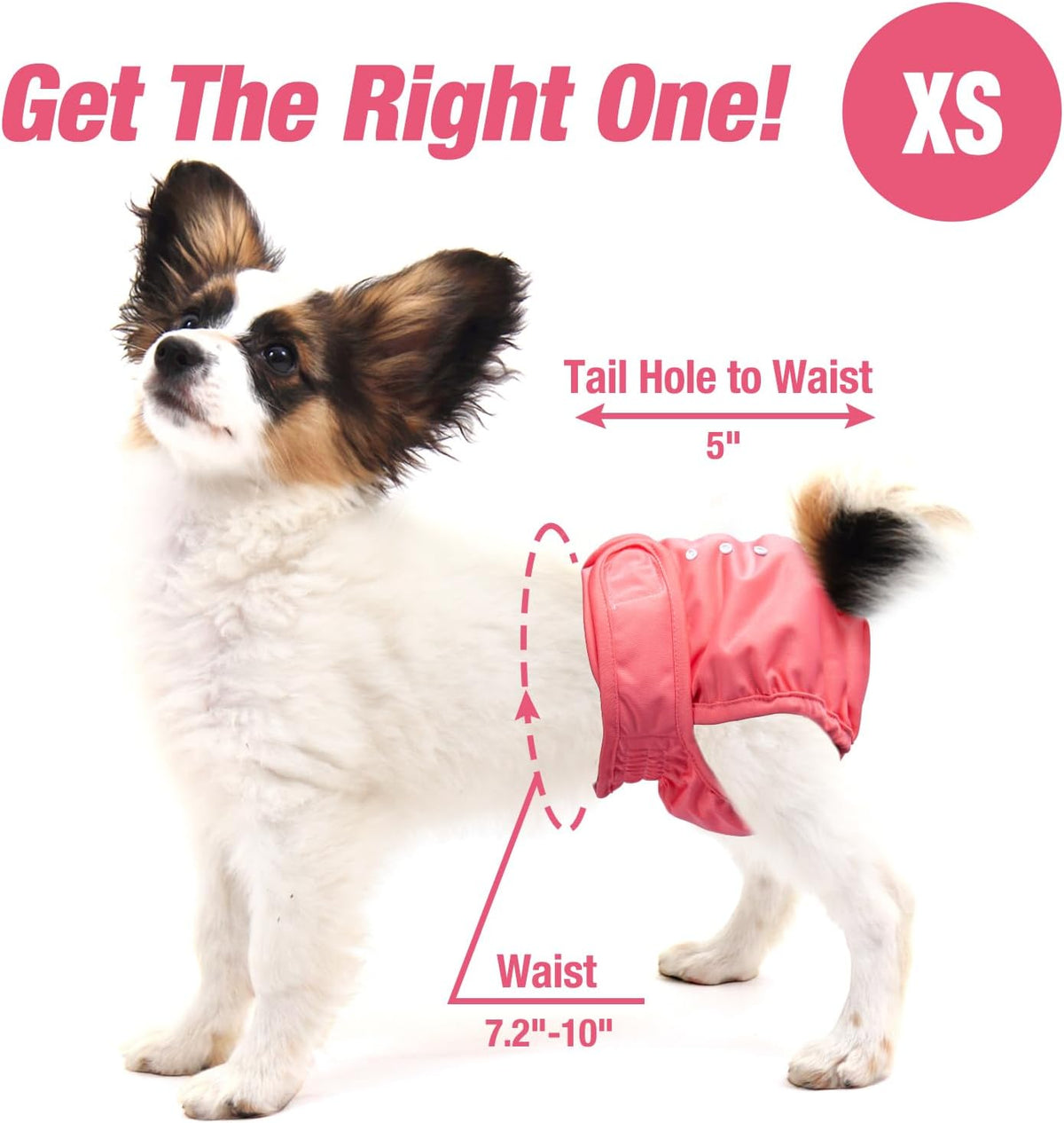 Pet Soft Washable Female Diapers Female Dog Diapers - Sprightly / X-Small:7.5''-10'' - image 2