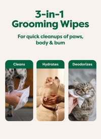 Earth Rated Dog Wipes for Paws & Butt, Deodorizing - Unscented / 100 Grooming Wipes - image 4