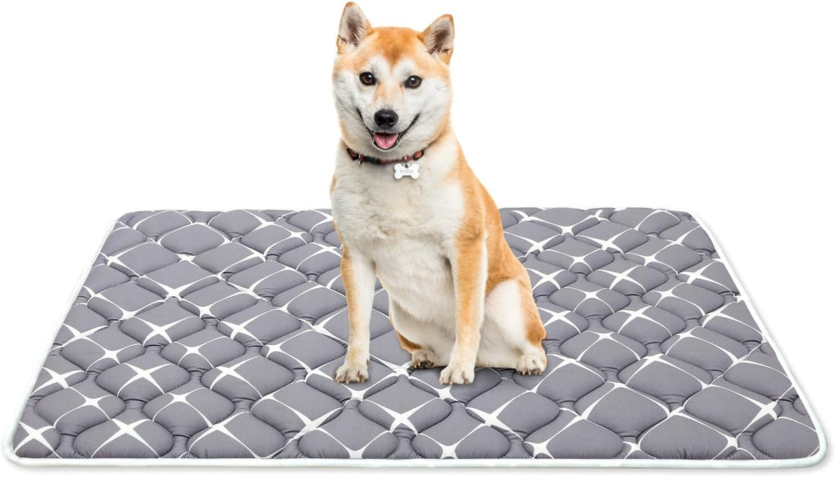 Bubble bear Dog Crate Mat, Ultra Soft - Gray / 30.0"L x 19.0"W
