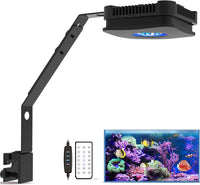 Lominie LED Aquarium Light - P30 saltwater