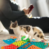 AWOOF Cute Soft Catnip Mat, Interactive Cat Toys for Indoor Cats