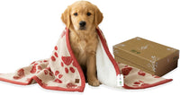Small Pet Blanket, 100% Organic Cotton - Amber Glow/Beige