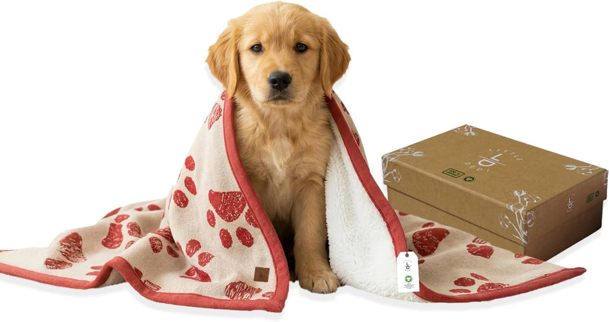 Small Pet Blanket, 100% Organic Cotton - Amber Glow/Beige