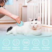 The Original Pet Hair Removal Massaging Shell Comb – Essentials for Cats - Mint - image 2