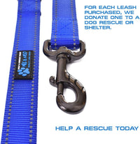 Max and Neo Double Handle Traffic Dog Leash, Reflective - 4 FT / Blue - image 3