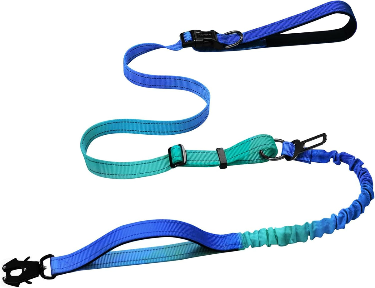 Heavy Duty Hands Free Dog Leash with Quick Release Carabiner - Aquamarine